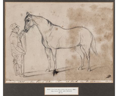 A pencil sketch of the horse Van Tromp by Major General Crealock, with artist’s initials in lower right corner and ink writte