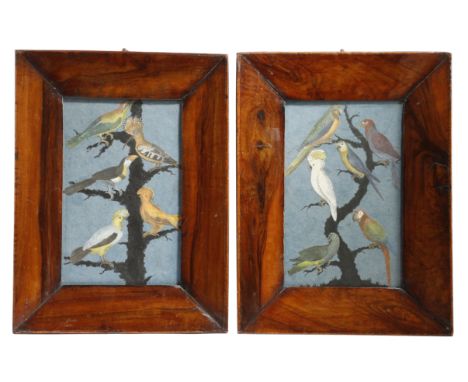 A PAIR OF CONTINENTAL BIRD COLLAGE PRINT PICTURES LATE 19TH / EARLY 20TH CENTURY each depicting cut-out hand-coloured birds o