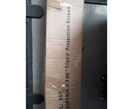 2 projector screens 