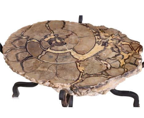 A VERY LARGE AMMONITE AND WROUGHT IRON COFFEE TABLE Oval form ammonite half section with flat polished surface, on wrought ir
