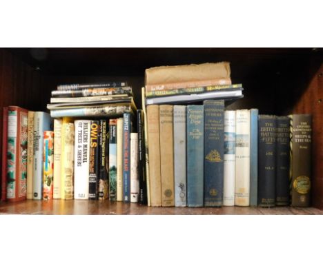 Various war related and voyager books, including Sea Life, Ships at Sea, Last on the Wind Ships, The British Battle Fleet, et