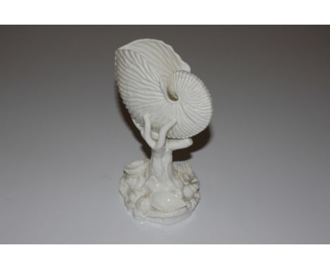 A Worcester Blanc de Chine Nautilus shell posy holder