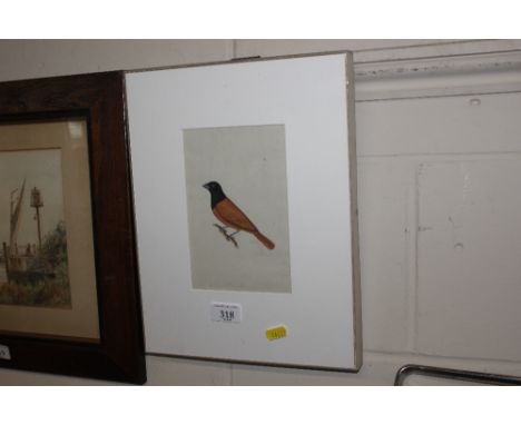 Pencil signed coloured print depicting a bird