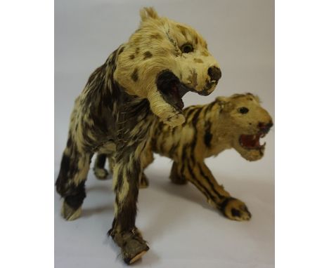 A Replica Taxidermy Model of a Tiger, 18cm high, 35cm wide, also with a replica taxidermy model of a cheetah, both having han