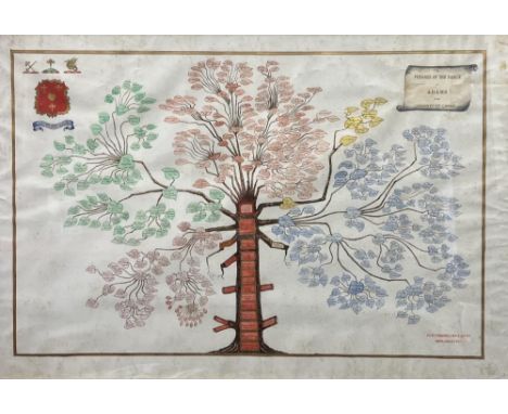 Important Irish Manuscript Pedigree Co. Cavan: Adams (Maxwell R.W.P.)comp.&nbsp;A Pedigree of the Family of Adams of the Coun