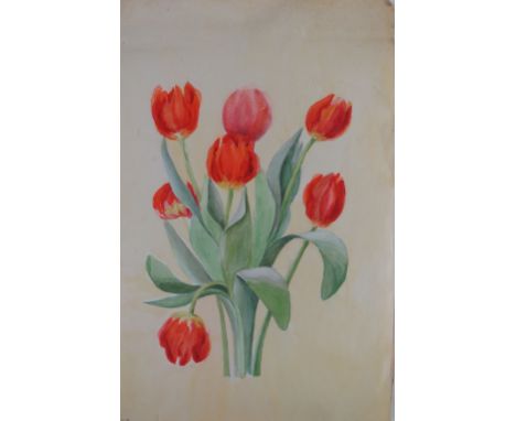 Elizabeth 'Lizzie' Dunlop, 20th Century Irish  Original Drawings &amp; Watercolours: (Dunlop (E.)) A large Album of Botanical