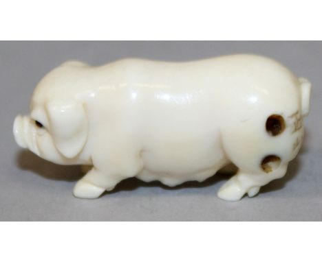 A MINIATURE EARLY 20TH CENTURY SIGNED JAPANESE IVORY NETSUKE OF A SOW,