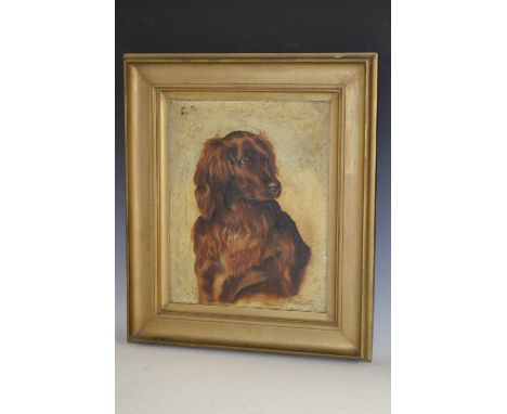 English School (early 20th century)Faithful Friend, Portrait of a Spanieloil on canvas, 37cm x 29.5cm