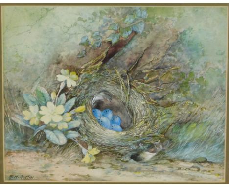 R H Austin (British, 1890-1955). Bird's nest, primroses, etc., watercolour, signed lower left, 20cm x 25cm.