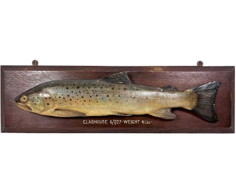 Taxidermy: A Cast Brown Trout (Salmo trutta), dated 1927, attributed to P.D, Malloch of Perth, Scotland, a hand painted plast