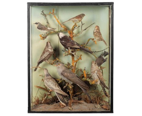 Taxidermy: A Late Victorian Cased Diorama of British Birds, dated 1895, a diorama of nine various British garden birds compri