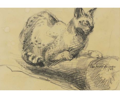 *Gertrude Hermes (1901-1983) Wild Cat signed and dated 'Gertrude Hermes 1957' l.r., black pencil 24.5 x 33.5cm *Artist's Resa