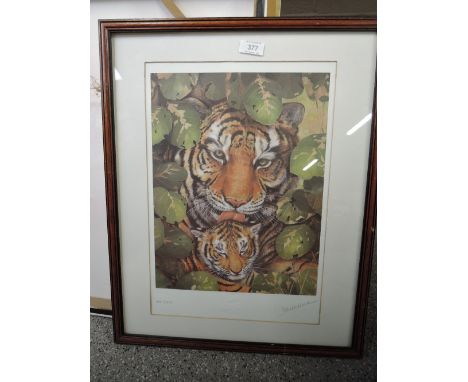 A limited run print of tiger and culb