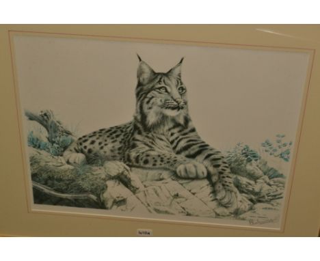 Eric Tenney (contemporary)
Snow Leopard/Lynx, signed, blind stamp,colour lithograph print, 48cm x 61cm, framed