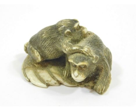 NETSUKE. A carved ivory netsuke of two monkeys on a leaf. Width 4.5cm.  Please note that all items in this auction are previo