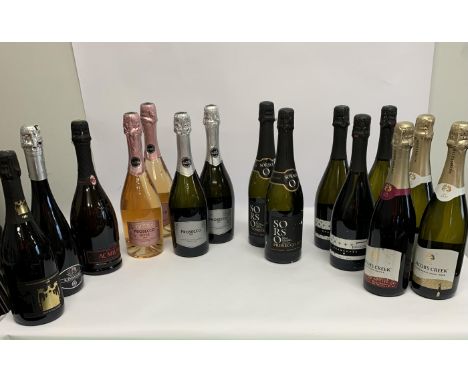 Fifteen assorted White/Red/Rose Sparkling Wines to include Prosecco, Jacobs Creek Chardonnay, BondaDea Gran Cuvee, AC Milan F