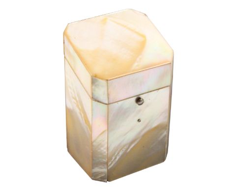 A mother of pearl ‘Ladies Companion’, circa 1840, of cut corner rectangular section below a sloping lid, the lid interior in 