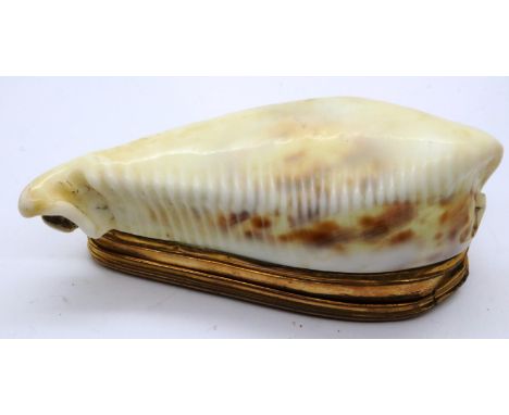 Victorian cowrie shell table snuff, with gilt metal hinged mount and Mother of Pearl cover engraved JD, L: 10 cm. P&amp;P Gro