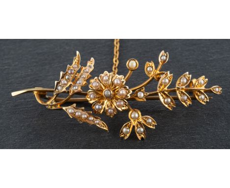An Edwardian, 9ct gold, seed pearl spray brooch, with hallmarks for Chester, 1910, total length ca. 5.7cm, total weight ca. 6
