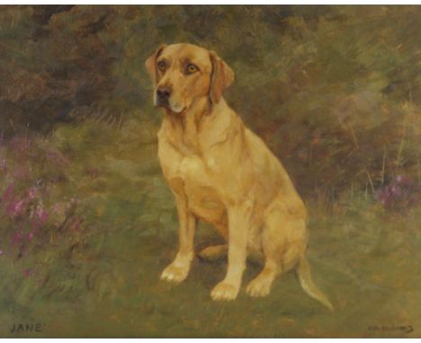 Florence Mabel Hollams (British, 1877-1967),"Jane", portrait of a Golden Labrador,Oil on board,Signed "F.W. Hollams" lower ri