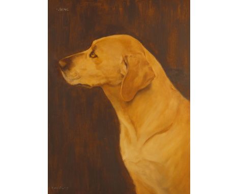 Florence Mabel Hollams (British, 1877-1967),"Jane", portrait of a Golden Labrador,Oil on board,Signed "F.M. Hollams" lower le