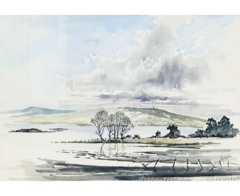 R. Johnston. Watercolour drawing. Scrabo Tower. 33x23cm. Frame 45x35cm