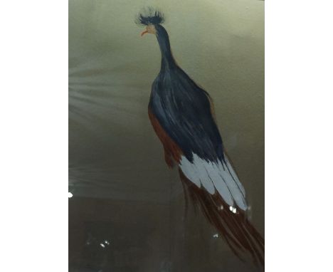 "Portrait of a Crane Bird" A Pair of Watercolours, 20th century, 73.5cm x 53.5cm, in gilt frames, (2) 