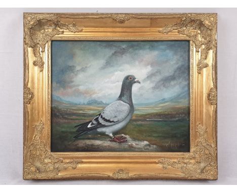 Oil on Canvas - Portrait of a Pigeon by Sean Aherne.Beautiful detail. Gilded frame.66 x 58cm 