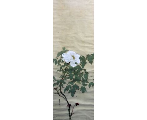 Chinese School (first half 20th century), painting on silk of a white peony, image 113cm x 41cm