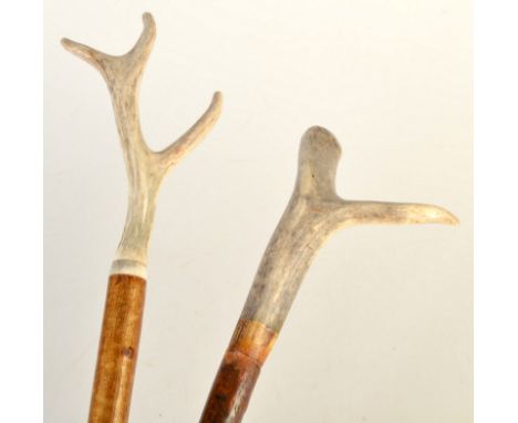 Two wooden staffs, each with antler finial.  Condition Report: The lengths are 131 cm. and 137 cm.
