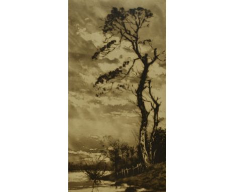 Willie Rawson (1865-1949, British), etching, 'Eventide', signed to the lower right, framed, mounted, and under glass, measuri