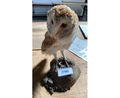  Sale Item:    OWL ON WOODEN STAND (AF)   Vat Status:   No Vat   Buyers Premium:  This lot is subject to a Buyers Premium of 