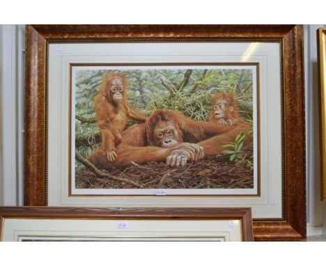 After Alan M Hunt a signed limited edition print of orangutans 23/750
