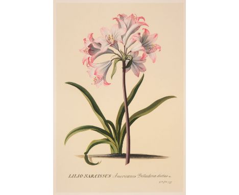 * Ehret (G. D.). A collection of 216 facsimile botanical prints, late 20th-century, twelve colour-printed botanical prints, w