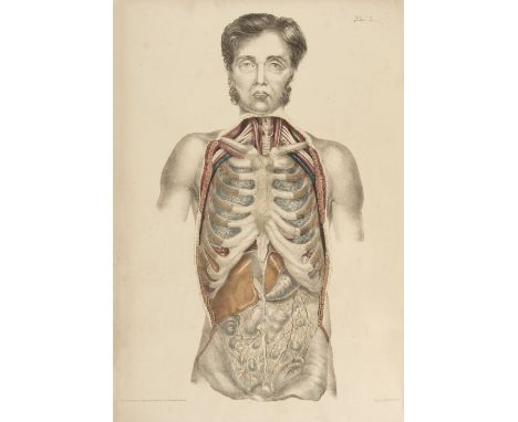 Hunter (William). The Anatomy of the Human Gravid Uterus, London: Sydenham Society facsimile edition, 1851, 34 engraved plate