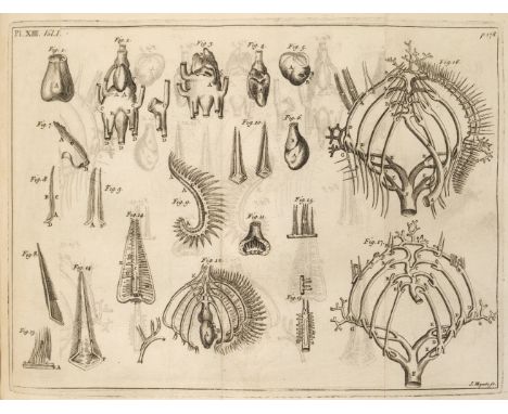 Martyn (John, &amp; Ephraim Chambers). The Philosophical history and memoirs of the Royal Academy of Sciences at Paris: or, a