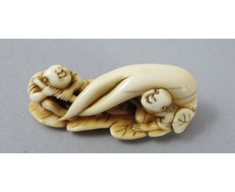 Erotisches Netsuke. Zwei kleine Männer auf Blattwerk transportieren großen gegabelten Rettich. Elfenbein. Mitte 19. Jh. L 54 