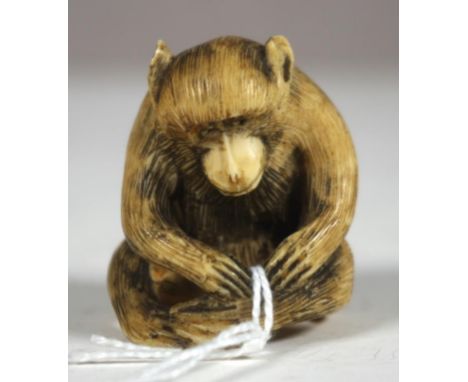 Antique Japanese okimono monkey figure carved figure of a seated monkey. Early 20th century, NB This item may not be exported