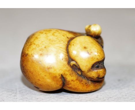 Antique Japanese carved netsuke monkey with young. Width 3.5cm approx.