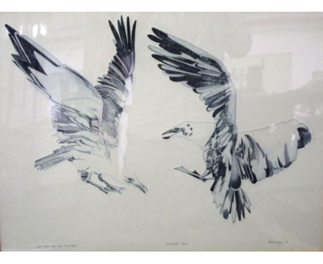 Peter Lyon (UK 1926-) Our wings are our only nest 2nd artist proof print, signed lower right, 51cm X 66cm