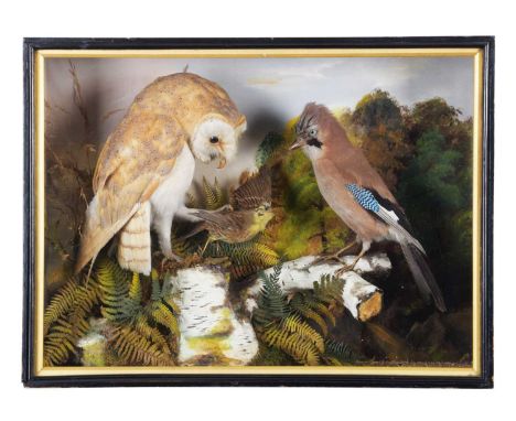 Taxidermy: A Late Victorian Case of Birds, circa 1845-1920, by E. Allen &amp; Co, Bird Fish &amp; Animal Preserver, 20 Stoneg