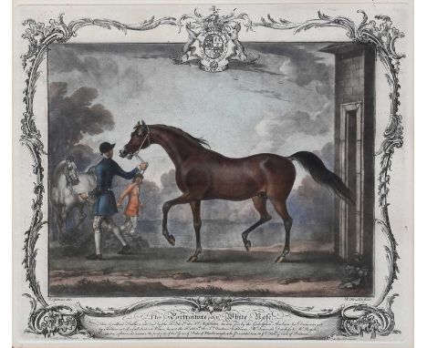 J.H.Lynch After M.A.Hayes (19th Century) "14th (or Royal Irish) Dragoon Guards" from The British Army  Colour engraving, Publ