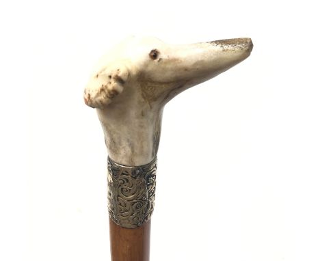 Edwardian malacca walking stick, white metal collar and Greyhound carved horn handle with glass eyes, L92cm