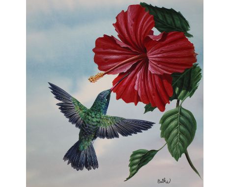 Don Balke (North Carolina, B. 1933) "Broad-billed Hummingbird Taking Nectar" Signed lower right. Original Watercolor painting