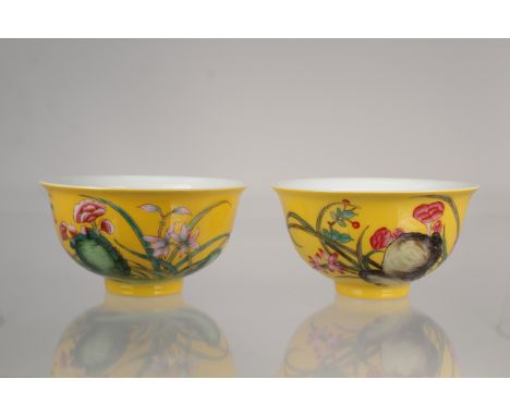 (2) Chinese Famille Jaune Porcelain Bowls, Signed on bottom of bowl. Provenance: Private California collection. Size: 2 3/8 x