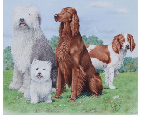 Peter Barrett (British, B. 1935) "Composite of Dogs" Signed lower right. Original Watercolor on Illustration Board. Provenanc