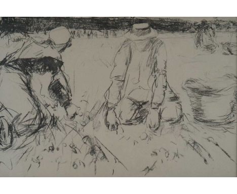 Harry Becker (British 1865-1928) Gathering Potatoes, Holland, lithograph, mounted and framed. Measurements 36.5 x 55 cm, fram