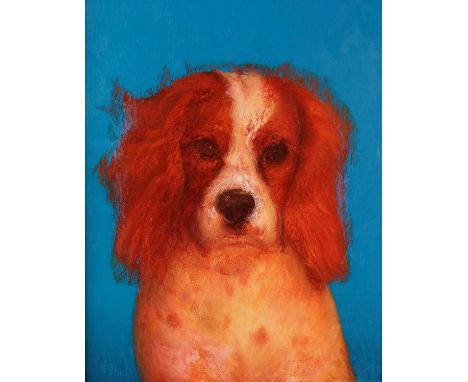 Denby Sweeting (British 1936-2020) Portrait of a Spaniel, oil on board, framed. Measurements 26 x 21 cm, frame 37 x 32 cmProv
