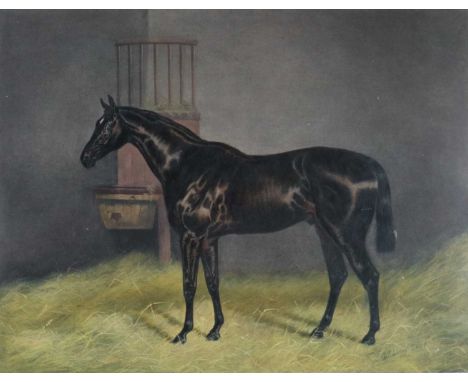After Henry Frederick Lucas Lucas, portrait of 'Bendigo', print '...by Ben Battle... Hasty Girl' 'foaled in 1880' trained by 
