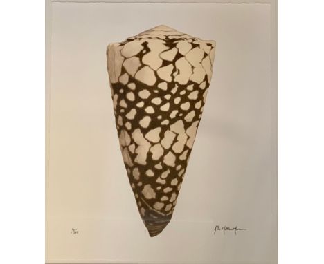 John Matthew Moore (American, Contemporary), Shell limited edition Giclée print, edition 6/295. Signed lower right, numbered 